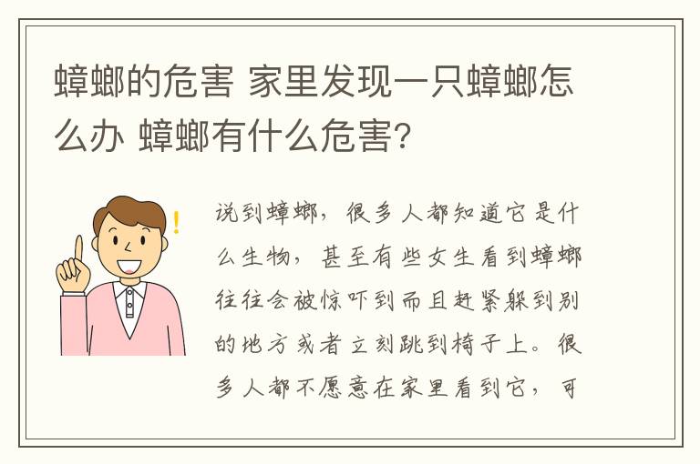 蟑螂的危害 家里發(fā)現(xiàn)一只蟑螂怎么辦 蟑螂有什么危害?