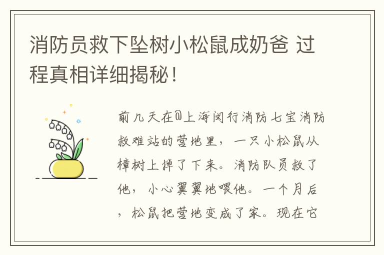 消防員救下墜樹小松鼠成奶爸 過程真相詳細(xì)揭秘！