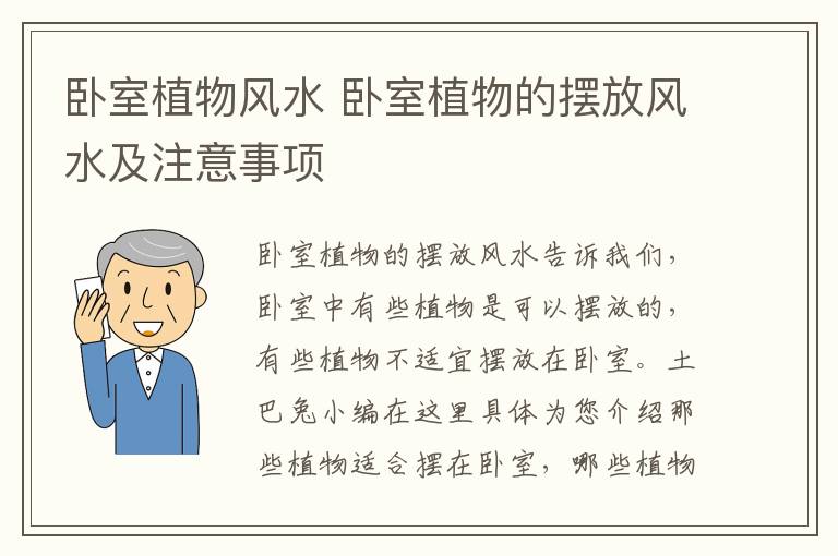 臥室植物風水 臥室植物的擺放風水及注意事項