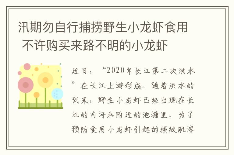 汛期勿自行捕撈野生小龍蝦食用 不許購買來路不明的小龍蝦