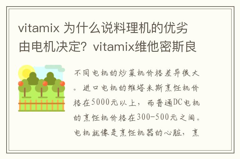 vitamix 為什么說料理機(jī)的優(yōu)劣由電機(jī)決定？vitamix維他密斯良心解讀