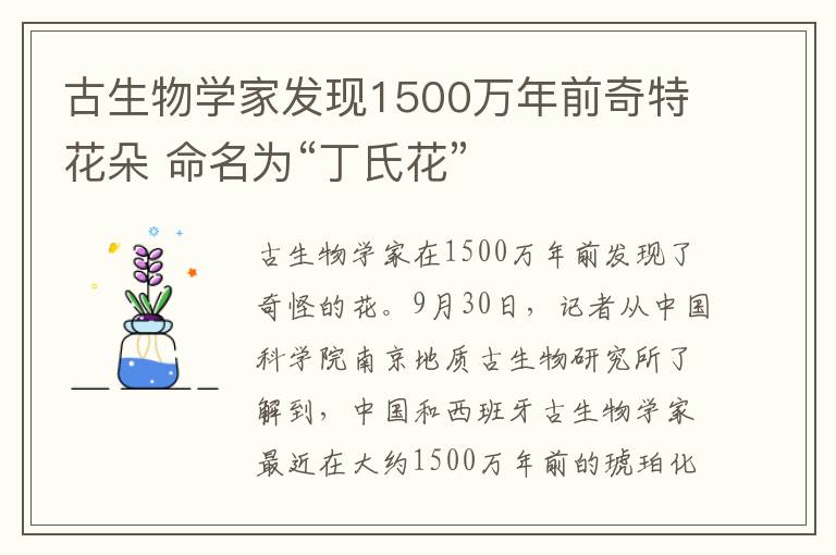 古生物學家發(fā)現(xiàn)1500萬年前奇特花朵 命名為“丁氏花”