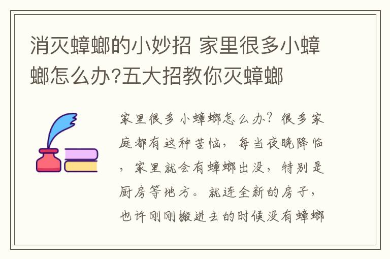 消滅蟑螂的小妙招 家里很多小蟑螂怎么辦?五大招教你滅蟑螂