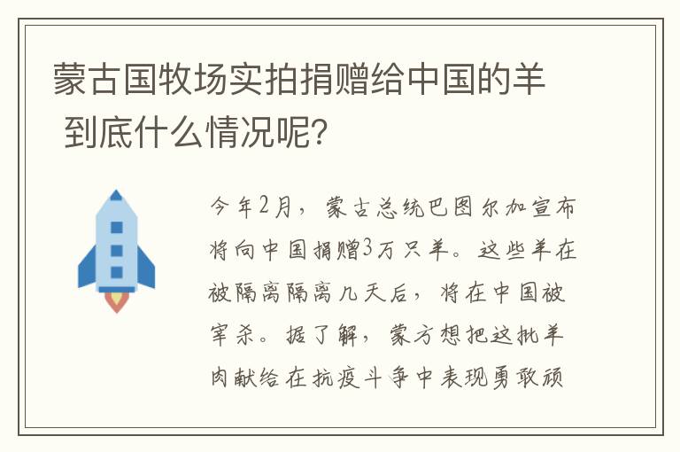 蒙古國牧場實拍捐贈給中國的羊 到底什么情況呢？