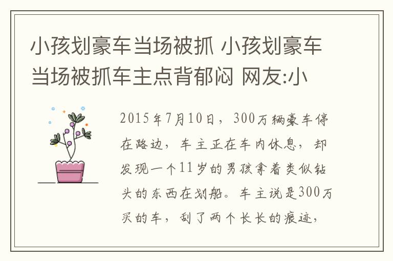 小孩劃豪車當場被抓 小孩劃豪車當場被抓車主點背郁悶 網(wǎng)友:小手輕輕一劃父母哭暈在家