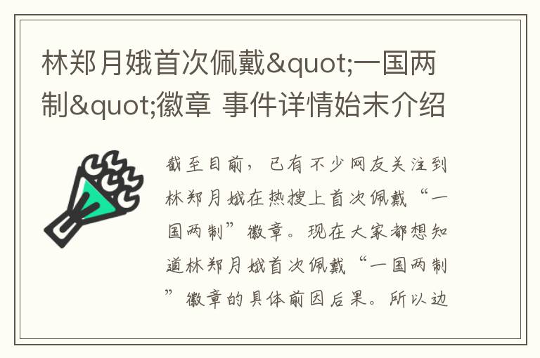 林鄭月娥首次佩戴"一國兩制"徽章 事件詳情始末介紹！