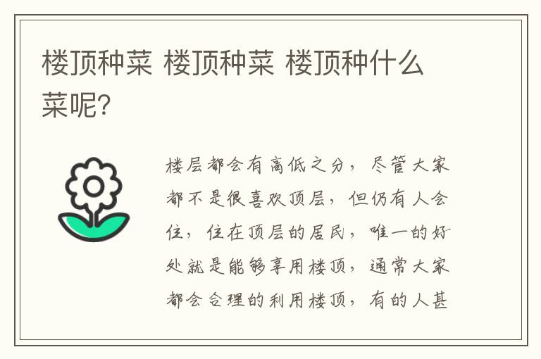 樓頂種菜 樓頂種菜 樓頂種什么菜呢？