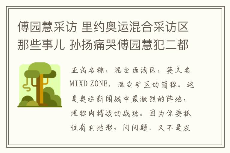 傅園慧采訪 里約奧運混合采訪區(qū)那些事兒 孫揚痛哭傅園慧犯二都是在這兒