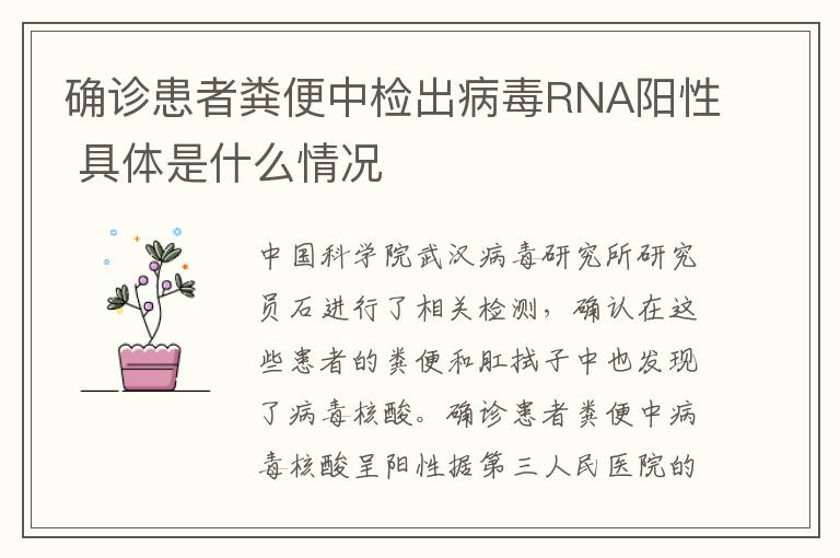 確診患者糞便中檢出病毒RNA陽性 具體是什么情況