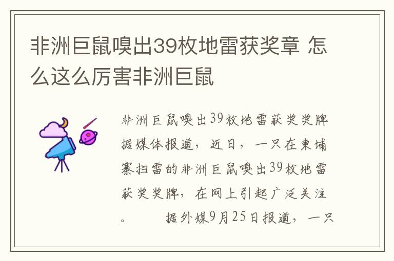 非洲巨鼠嗅出39枚地雷獲獎?wù)?怎么這么厲害非洲巨鼠