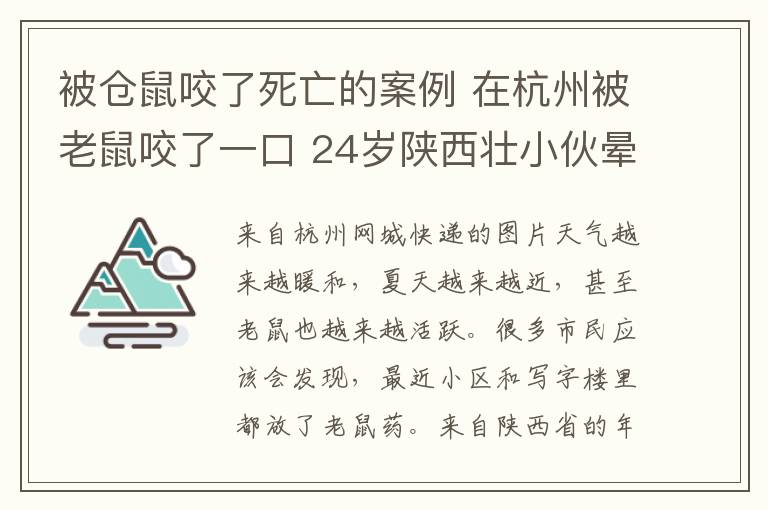 被倉鼠咬了死亡的案例 在杭州被老鼠咬了一口 24歲陜西壯小伙暈了過去