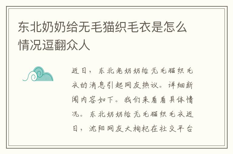 東北奶奶給無(wú)毛貓織毛衣是怎么情況逗翻眾人