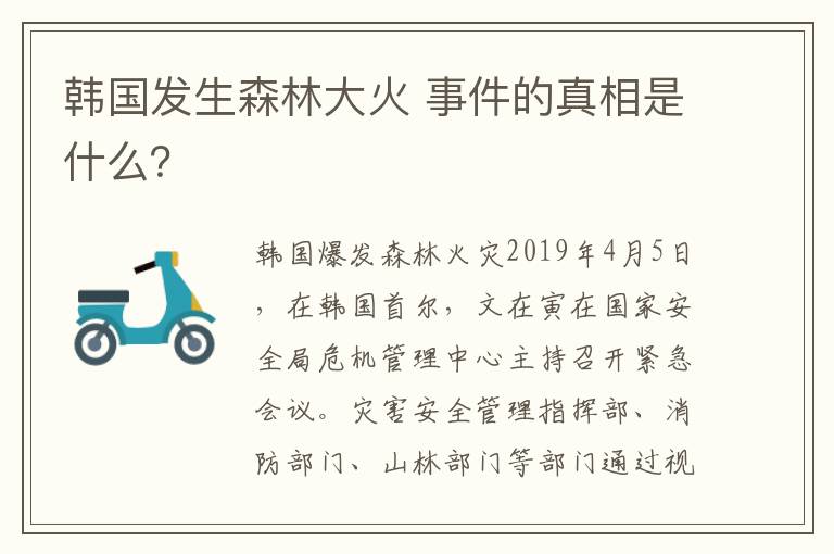 韓國發(fā)生森林大火 事件的真相是什么？