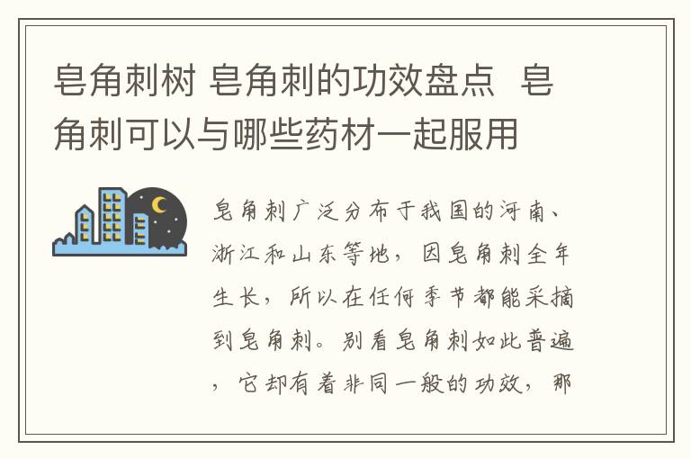 皂角刺樹 皂角刺的功效盤點 皂角刺可以與哪些藥材一起服用