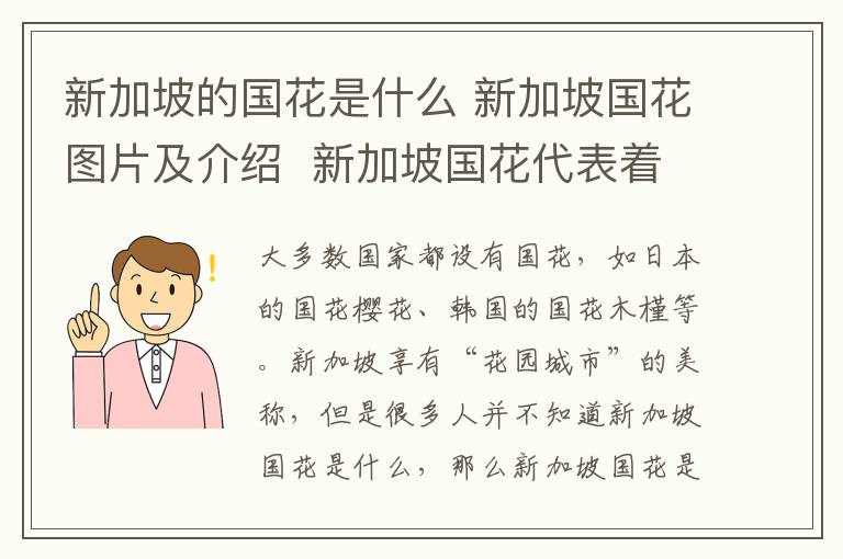 新加坡的國(guó)花是什么 新加坡國(guó)花圖片及介紹 新加坡國(guó)花代表著哪些含義