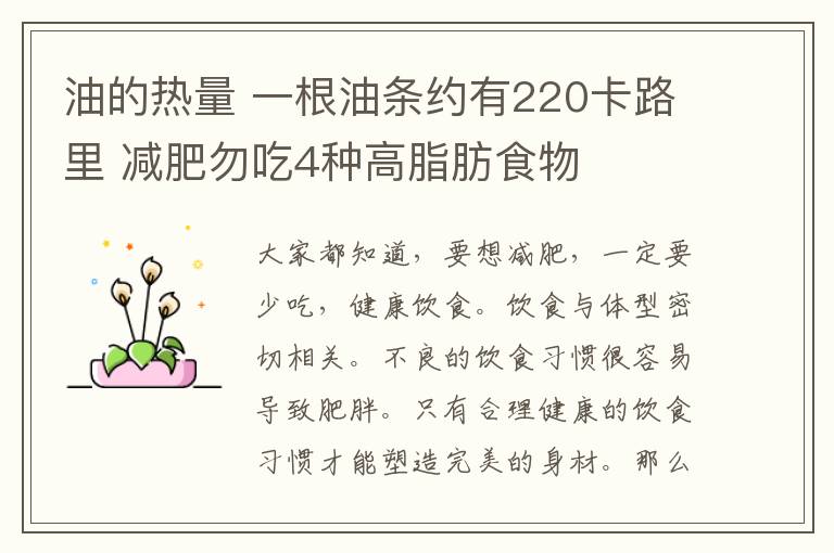 油的熱量 一根油條約有220卡路里 減肥勿吃4種高脂肪食物