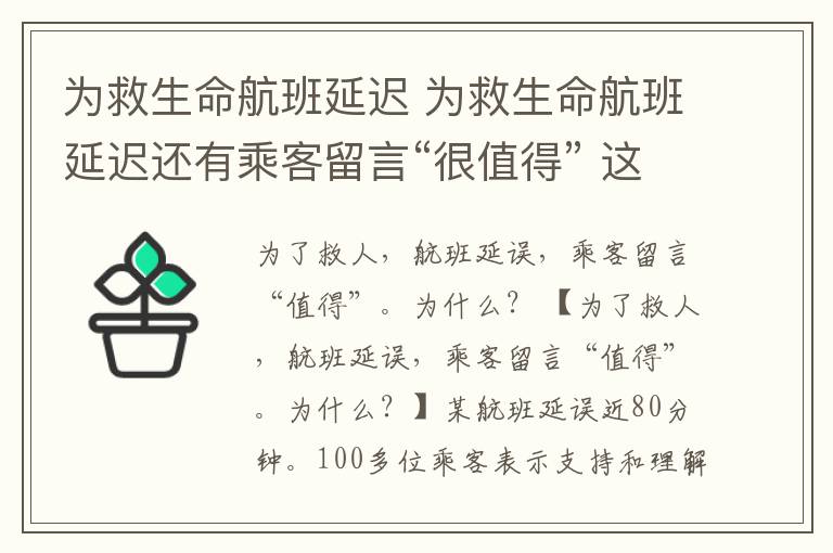 為救生命航班延遲 為救生命航班延遲還有乘客留言“很值得” 這是為何?