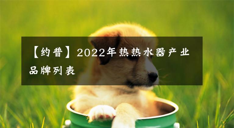 【約普】2022年熱熱水器產(chǎn)業(yè)品牌列表