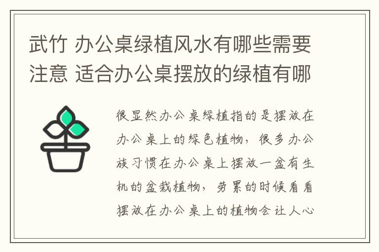 武竹 辦公桌綠植風(fēng)水有哪些需要注意 適合辦公桌擺放的綠植有哪些