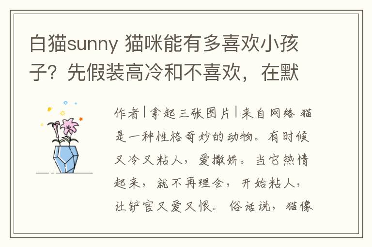 白貓sunny 貓咪能有多喜歡小孩子？先假裝高冷和不喜歡，在默默做護(hù)寶使者