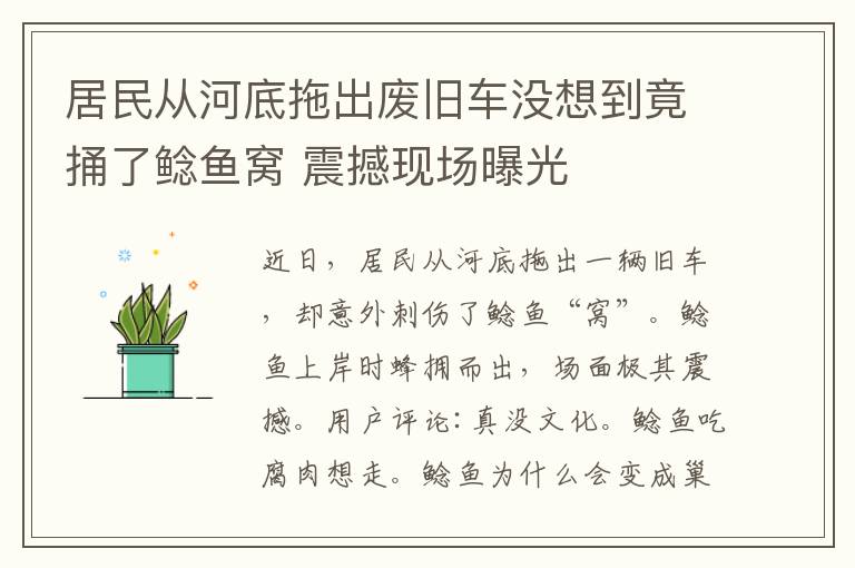 居民從河底拖出廢舊車沒想到竟捅了鯰魚窩 震撼現(xiàn)場曝光