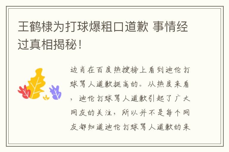 王鶴棣為打球爆粗口道歉 事情經(jīng)過真相揭秘！