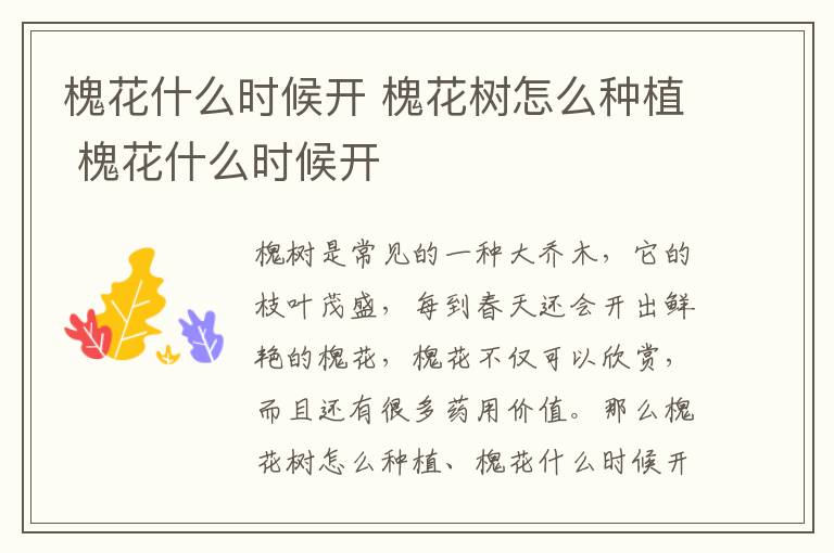 槐花什么時候開 槐花樹怎么種植 槐花什么時候開