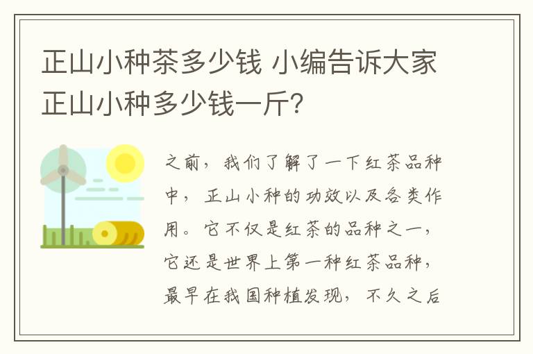 正山小種茶多少錢 小編告訴大家正山小種多少錢一斤？