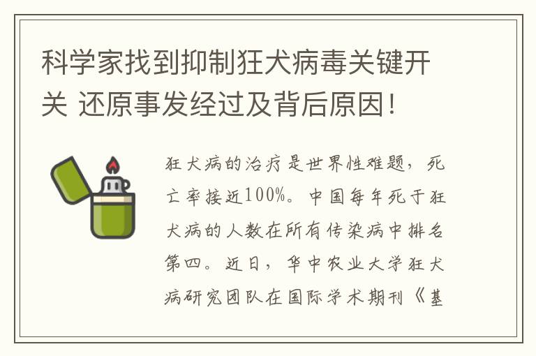 科學家找到抑制狂犬病毒關鍵開關 還原事發(fā)經(jīng)過及背后原因！