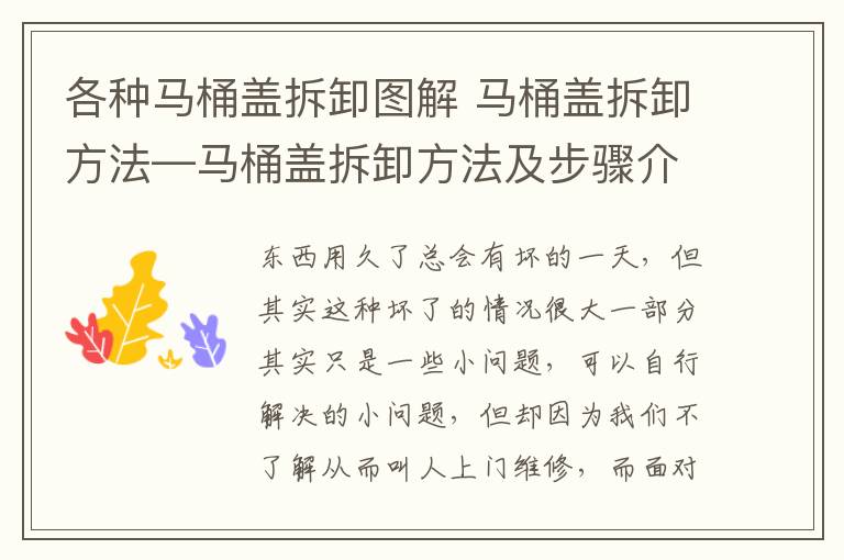 各種馬桶蓋拆卸圖解 馬桶蓋拆卸方法—馬桶蓋拆卸方法及步驟介紹