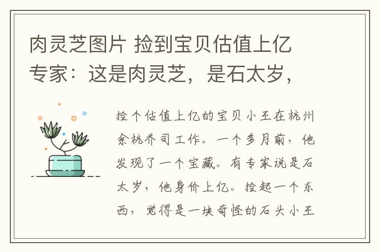 肉靈芝圖片 撿到寶貝估值上億 專家：這是肉靈芝，是石太歲，十萬塊一克！