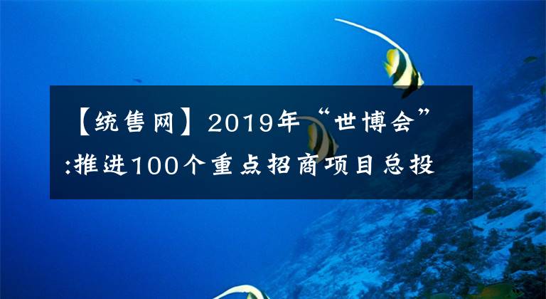 【統(tǒng)售網(wǎng)】2019年“世博會(huì)”:推進(jìn)100個(gè)重點(diǎn)招商項(xiàng)目總投資額2000億韓元以上。