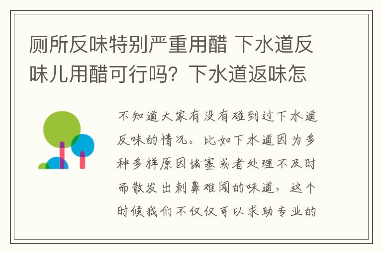 廁所反味特別嚴重用醋 下水道反味兒用醋可行嗎？下水道返味怎么辦?