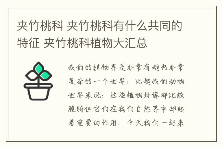 夾竹桃科 夾竹桃科有什么共同的特征 夾竹桃科植物大匯總