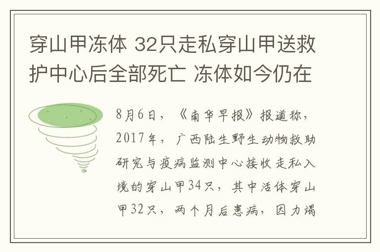 穿山甲凍體 32只走私穿山甲送救護中心后全部死亡 凍體如今仍在凍庫中