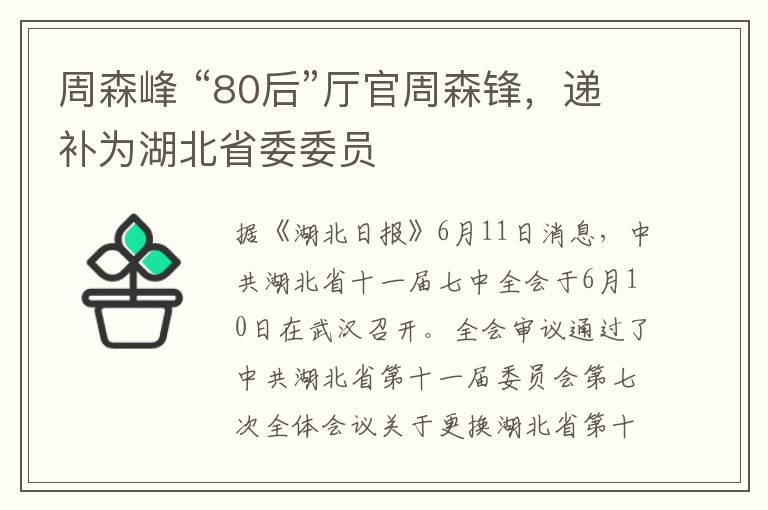 周森峰 “80后”廳官周森鋒，遞補為湖北省委委員