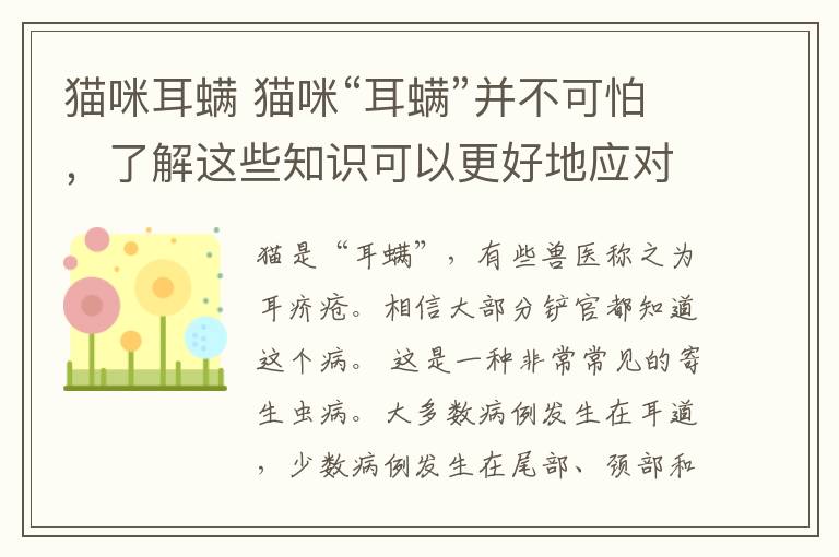 貓咪耳螨 貓咪“耳螨”并不可怕，了解這些知識(shí)可以更好地應(yīng)對(duì)它！