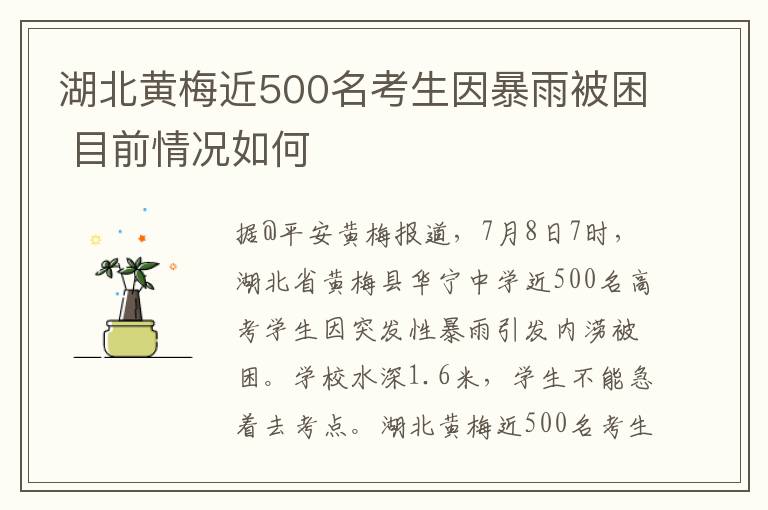 湖北黃梅近500名考生因暴雨被困 目前情況如何