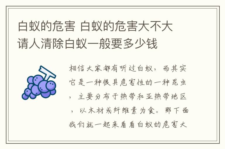 白蟻的危害 白蟻的危害大不大 請(qǐng)人清除白蟻一般要多少錢