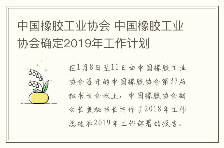 中國(guó)橡膠工業(yè)協(xié)會(huì) 中國(guó)橡膠工業(yè)協(xié)會(huì)確定2019年工作計(jì)劃