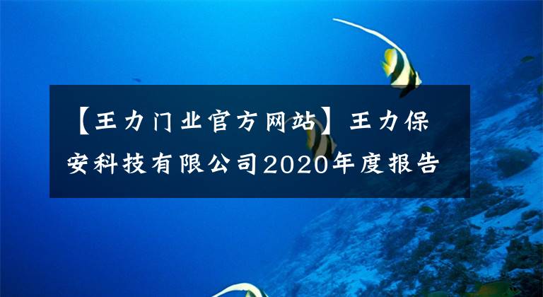 【王力門(mén)業(yè)官方網(wǎng)站】王力保安科技有限公司2020年度報(bào)告綜述