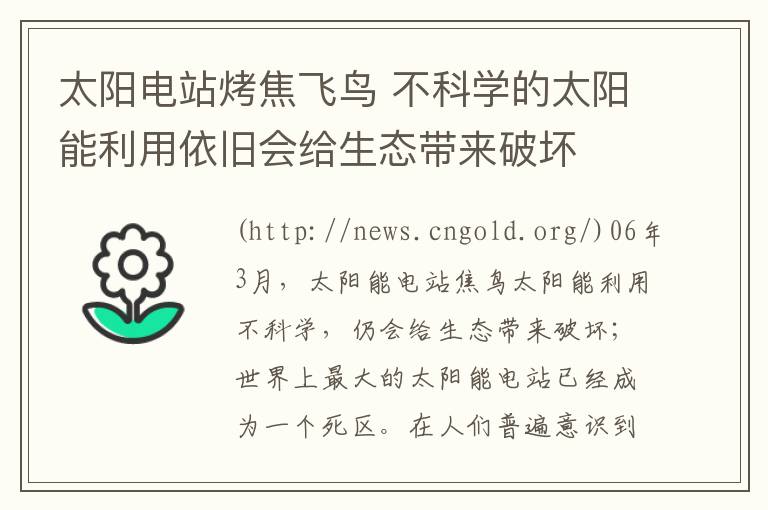 太陽(yáng)電站烤焦飛鳥(niǎo) 不科學(xué)的太陽(yáng)能利用依舊會(huì)給生態(tài)帶來(lái)破壞