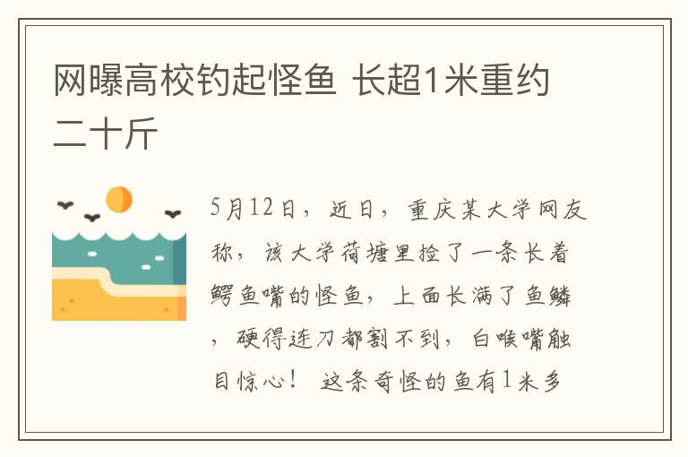 網(wǎng)曝高校釣起怪魚 長超1米重約二十斤