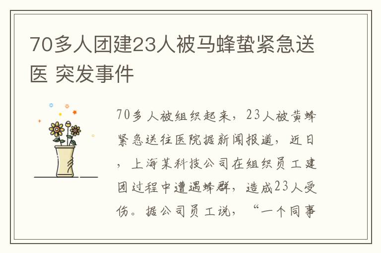 70多人團建23人被馬蜂蟄緊急送醫(yī) 突發(fā)事件