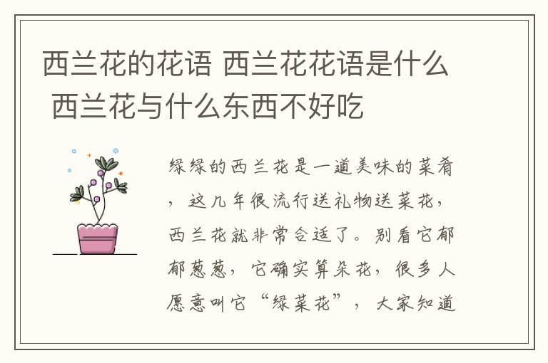 西蘭花的花語 西蘭花花語是什么 西蘭花與什么東西不好吃