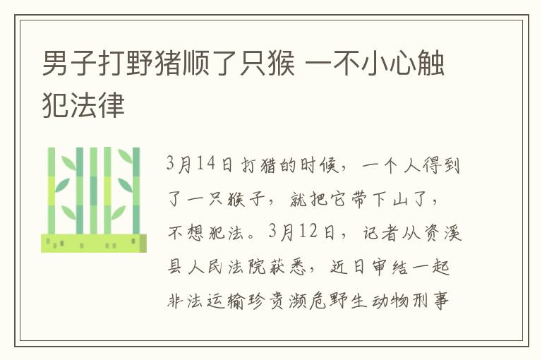 男子打野豬順了只猴 一不小心觸犯法律