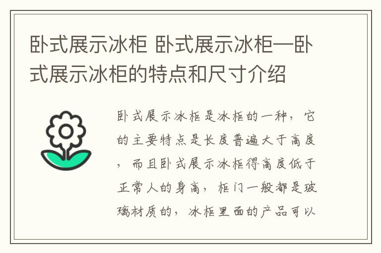 臥式展示冰柜 臥式展示冰柜—臥式展示冰柜的特點和尺寸介紹