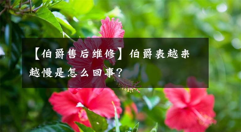 【伯爵售后維修】伯爵表越來越慢是怎么回事？