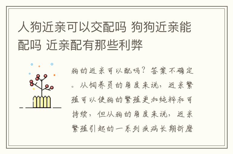 人狗近親可以交配嗎 狗狗近親能配嗎 近親配有那些利弊