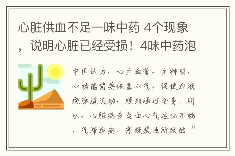 心臟供血不足一味中藥 4個現(xiàn)象，說明心臟已經受損！4味中藥泡茶喝，強心健心，守護心臟健康